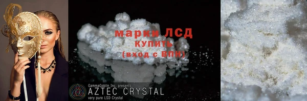 гидра Кодинск