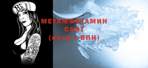 индика Краснослободск