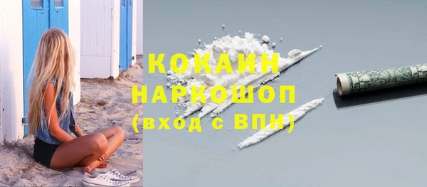 индика Краснослободск
