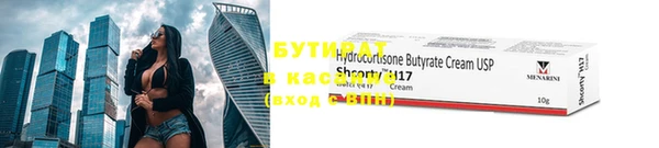 индика Краснослободск