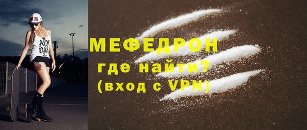 индика Краснослободск