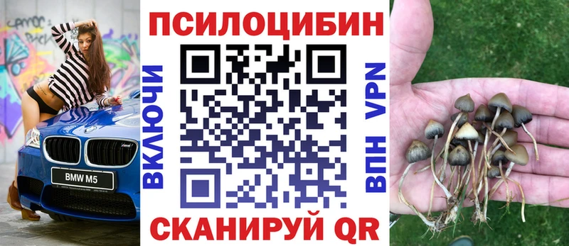 Псилоцибиновые грибы ЛСД купить наркотик Нариманов